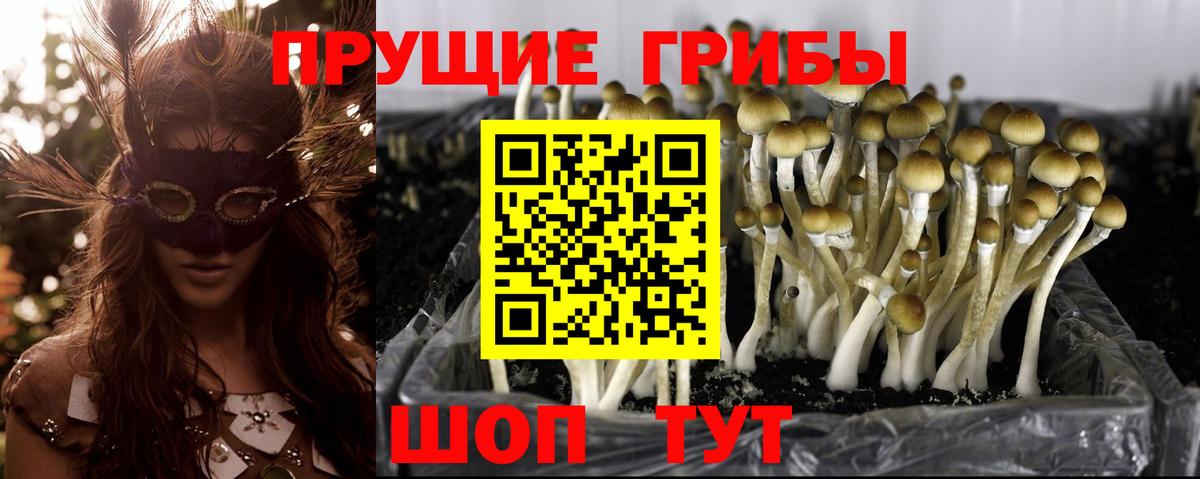 Псилоцибиновые грибы мухоморы Карабулак