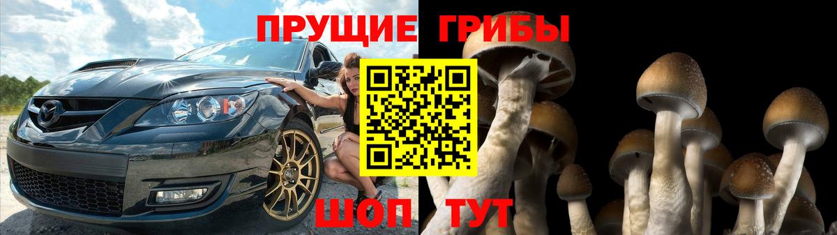 Псилоцибиновые грибы мухоморы  Вход с VPN  Псилоцибиновые грибы Cubensis  Карабулак 